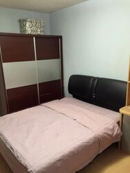 Blk 258 Tampines Street 21 (Tampines), HDB 3 Rooms #540509421
